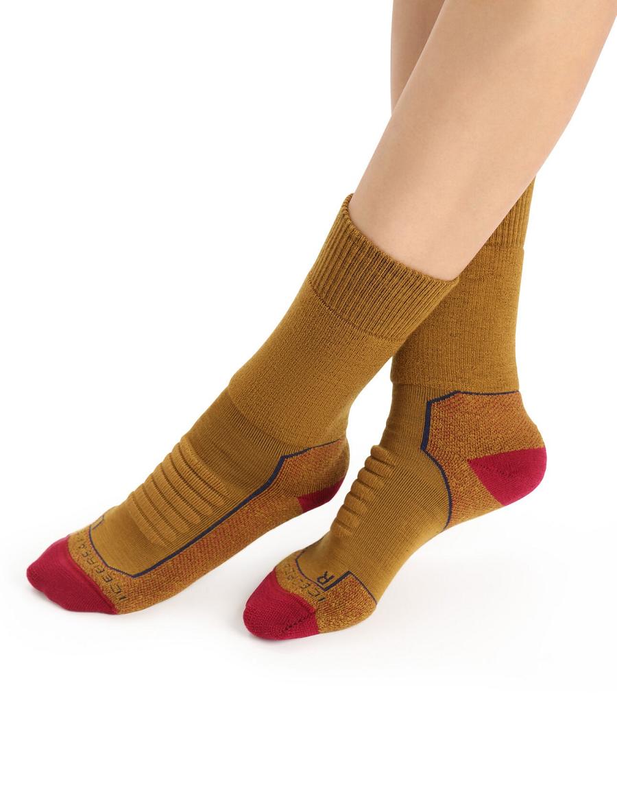 Women's Icebreaker Merino Hike+ Heavy Crew Socks Clove / Cherry | CA 1499NWYB